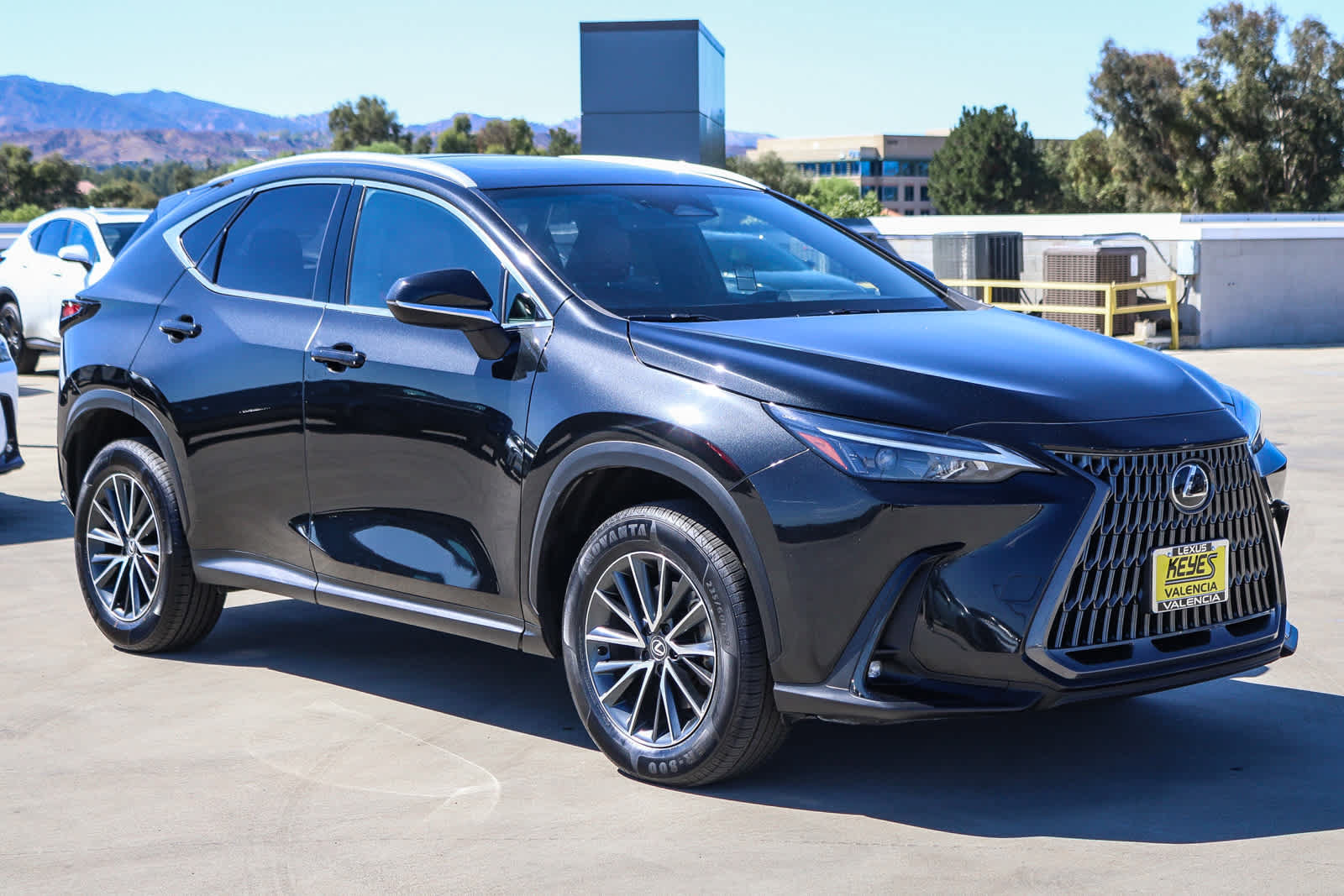 Used 2024 Lexus NX 350 AWD w/ Cold Area Package image 5