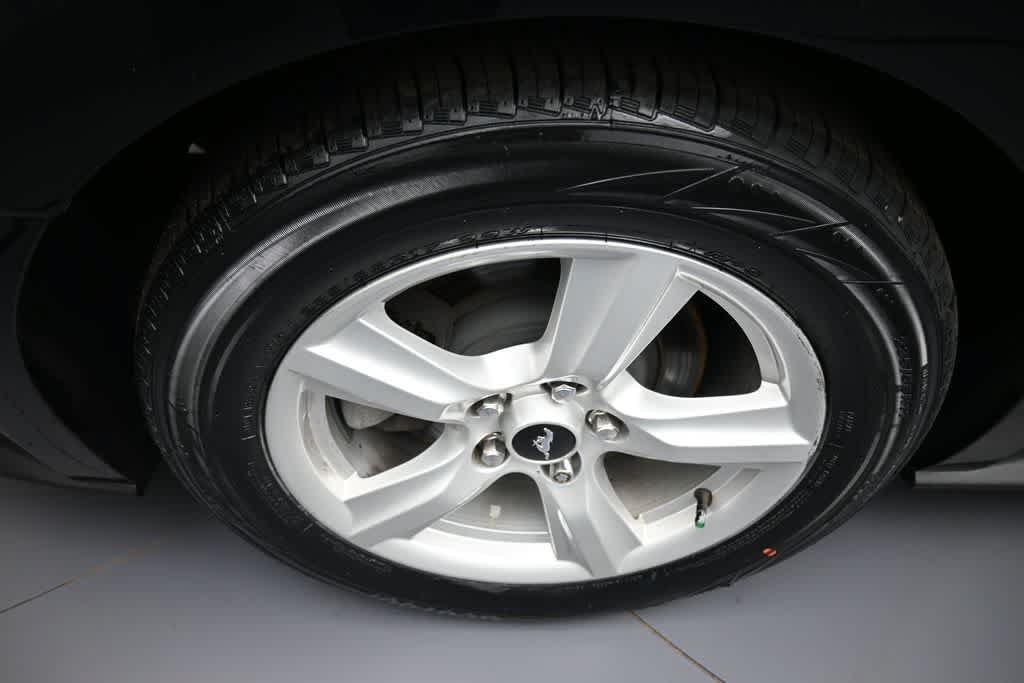 Used 2019 Ford Mustang Convertible RWD image 12