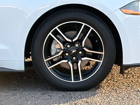 Used 2019 Ford Mustang Premium w/ Equipment Group 201A RWD image 6