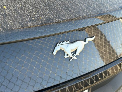 Used 2025 Ford Mustang Coupe image 6