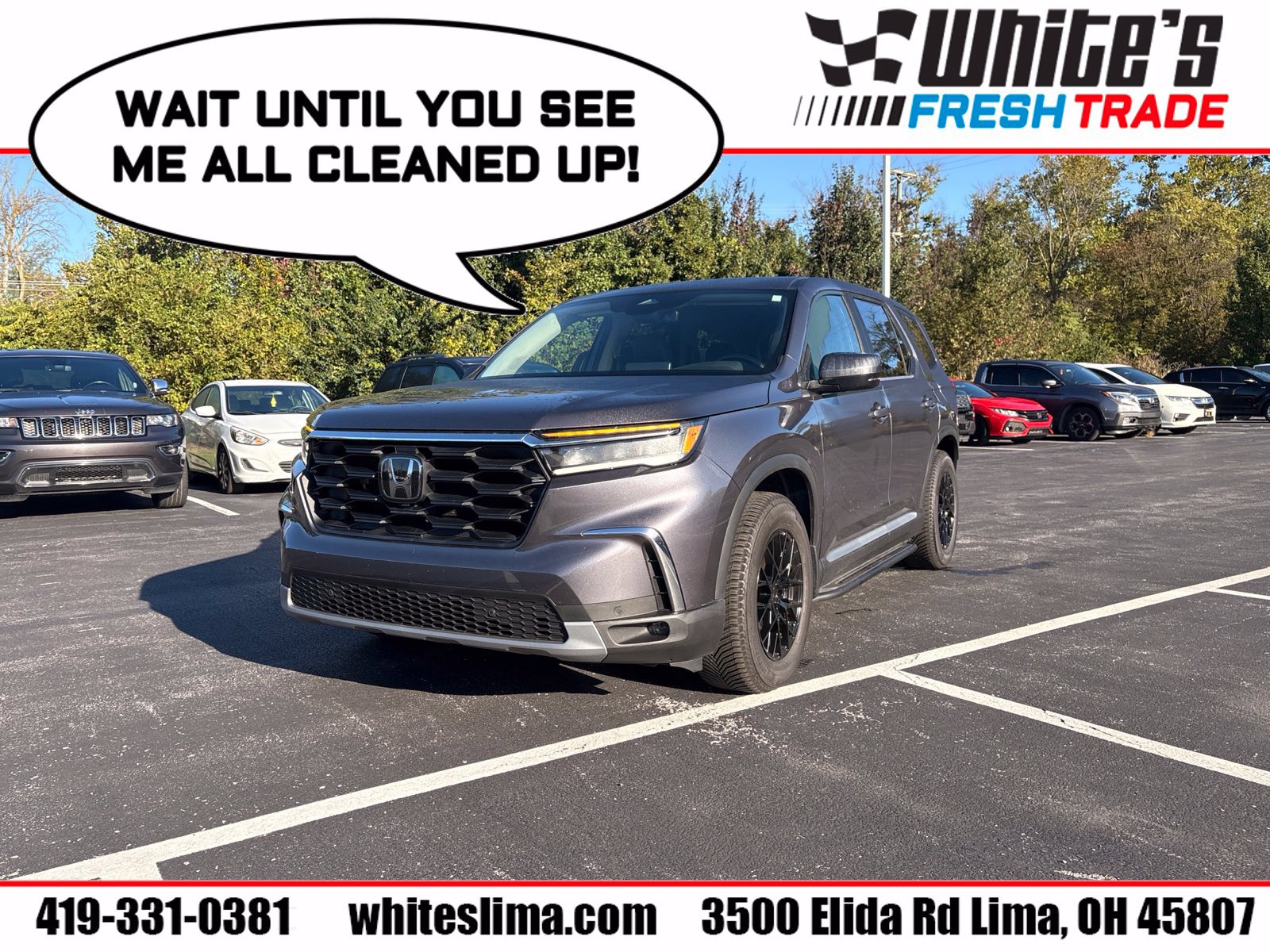 Used 2025 Honda Pilot EX-L image 1