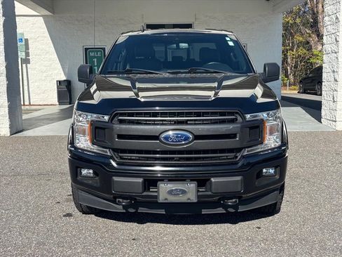 Used 2019 Ford F150 XLT w/ Equipment Group 302A Luxury AWD/4WD image 22