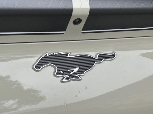 New 2025 Ford Mustang Mach-E GT w/ Interior Protection Package image 19