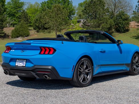 Used 2024 Ford Mustang Premium image 12