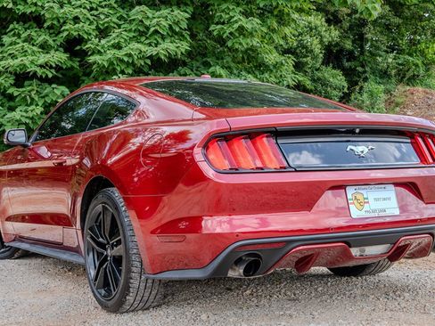 Used 2016 Ford Mustang Premium w/ Ecoboost Performance Package RWD image 3