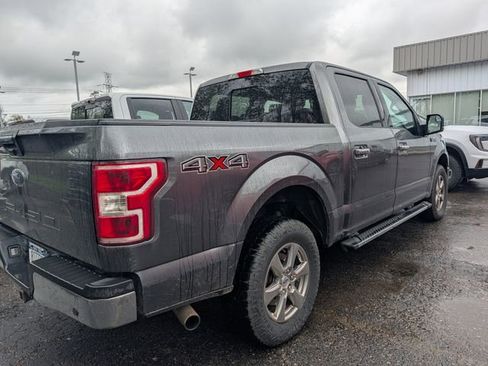 Used 2019 Ford F150 XLT w/ Equipment Group 302A Luxury AWD/4WD image 3