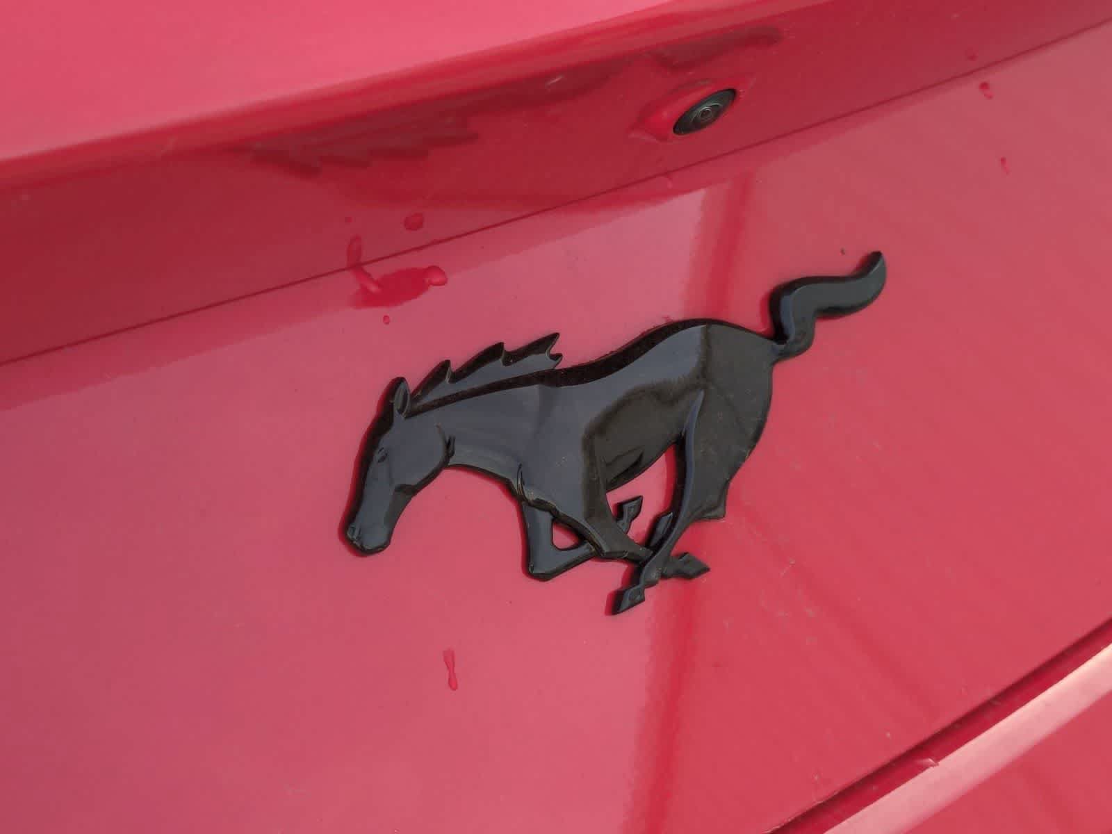 New 2025 Ford Mustang Coupe RWD image 29