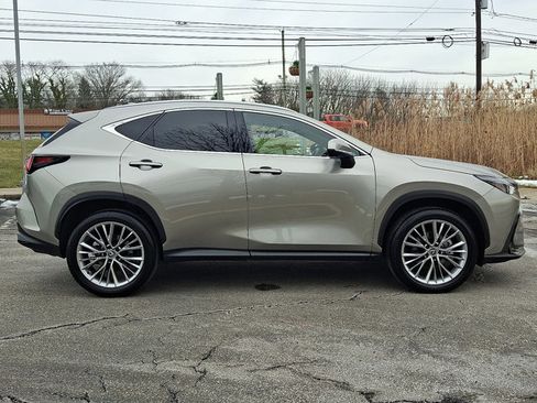 Certified 2025 Lexus NX 350 AWD w/ Premium Package image 7