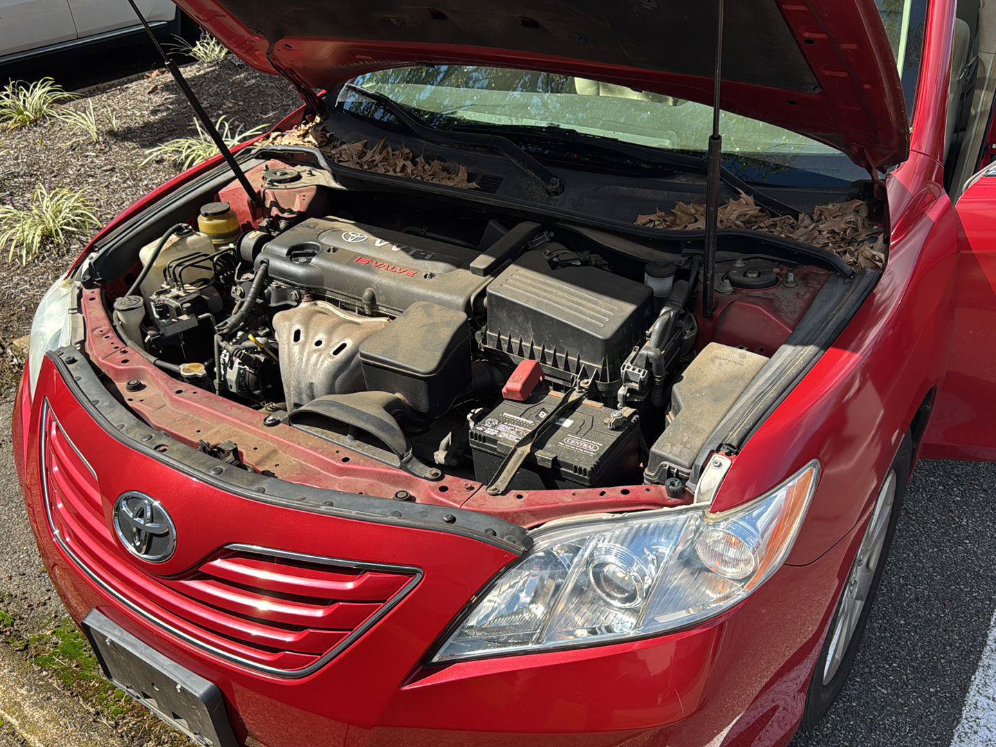 Used 2007 Toyota Camry XLE FWD image 9