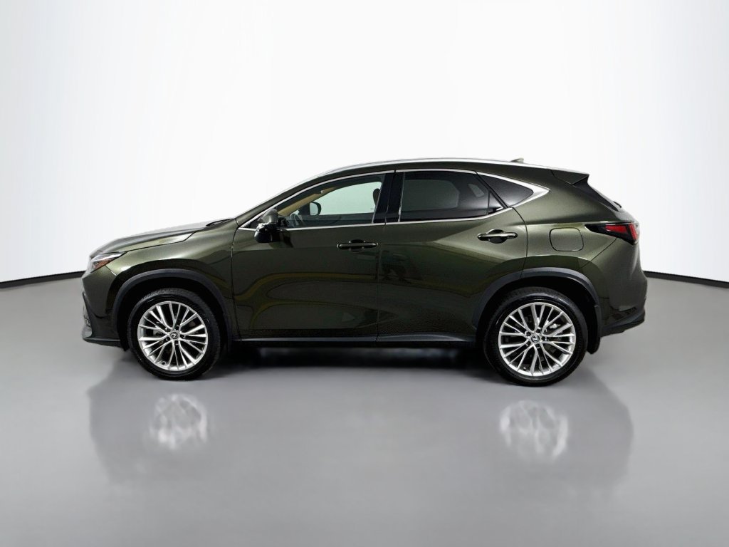 Certified 2025 Lexus NX 350h AWD w/ Accessory Package (Z2) image 8