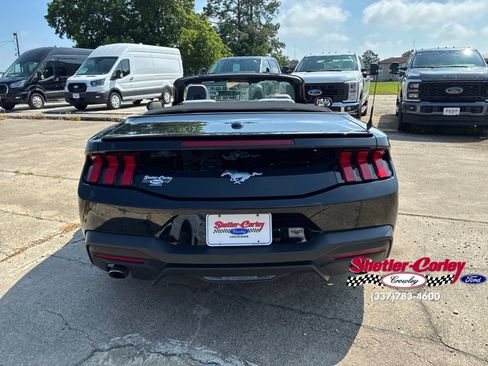 Used 2024 Ford Mustang Premium RWD image 11