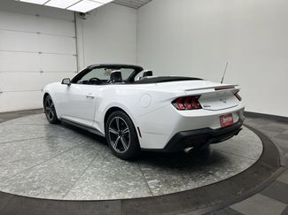 Used 2024 Ford Mustang Premium video 2