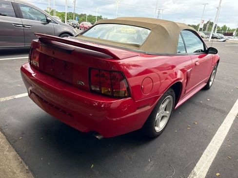 Used 1999 Ford Mustang Cobra RWD image 6