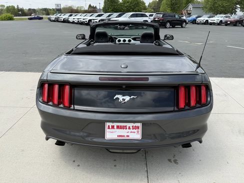 Used 2017 Ford Mustang Premium RWD image 6