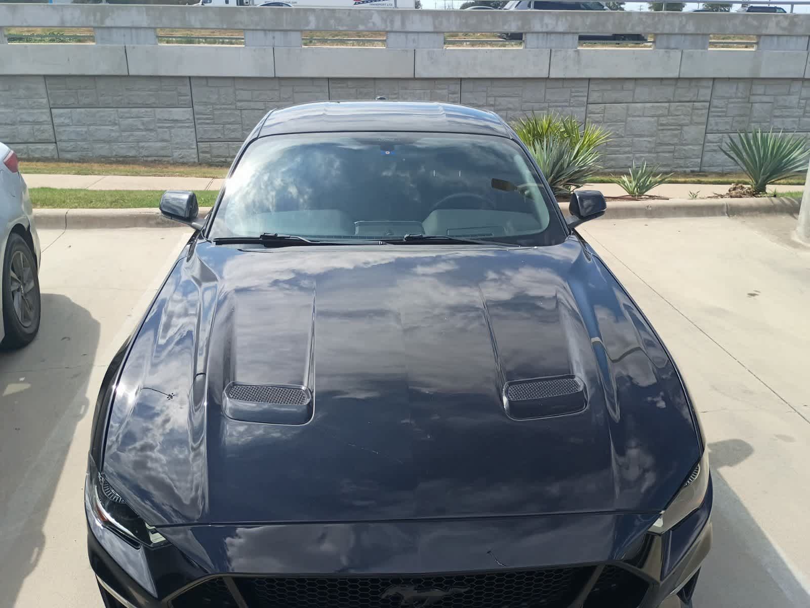 Used 2019 Ford Mustang GT w/ Equipment Group 301A RWD image 8