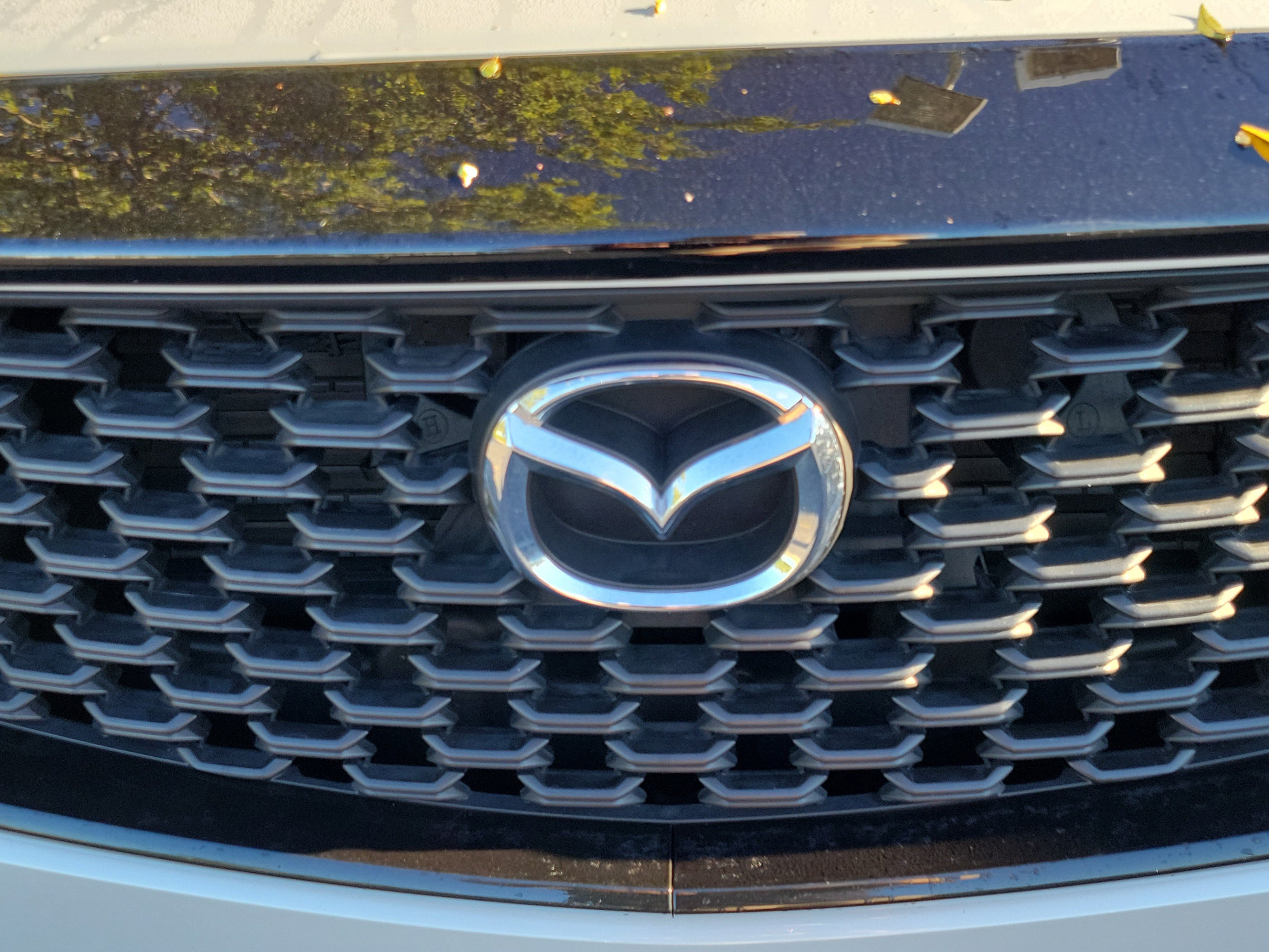 Used 2023 MAZDA CX-50 2.5 S w/ Cargo Package AWD/4WD image 29