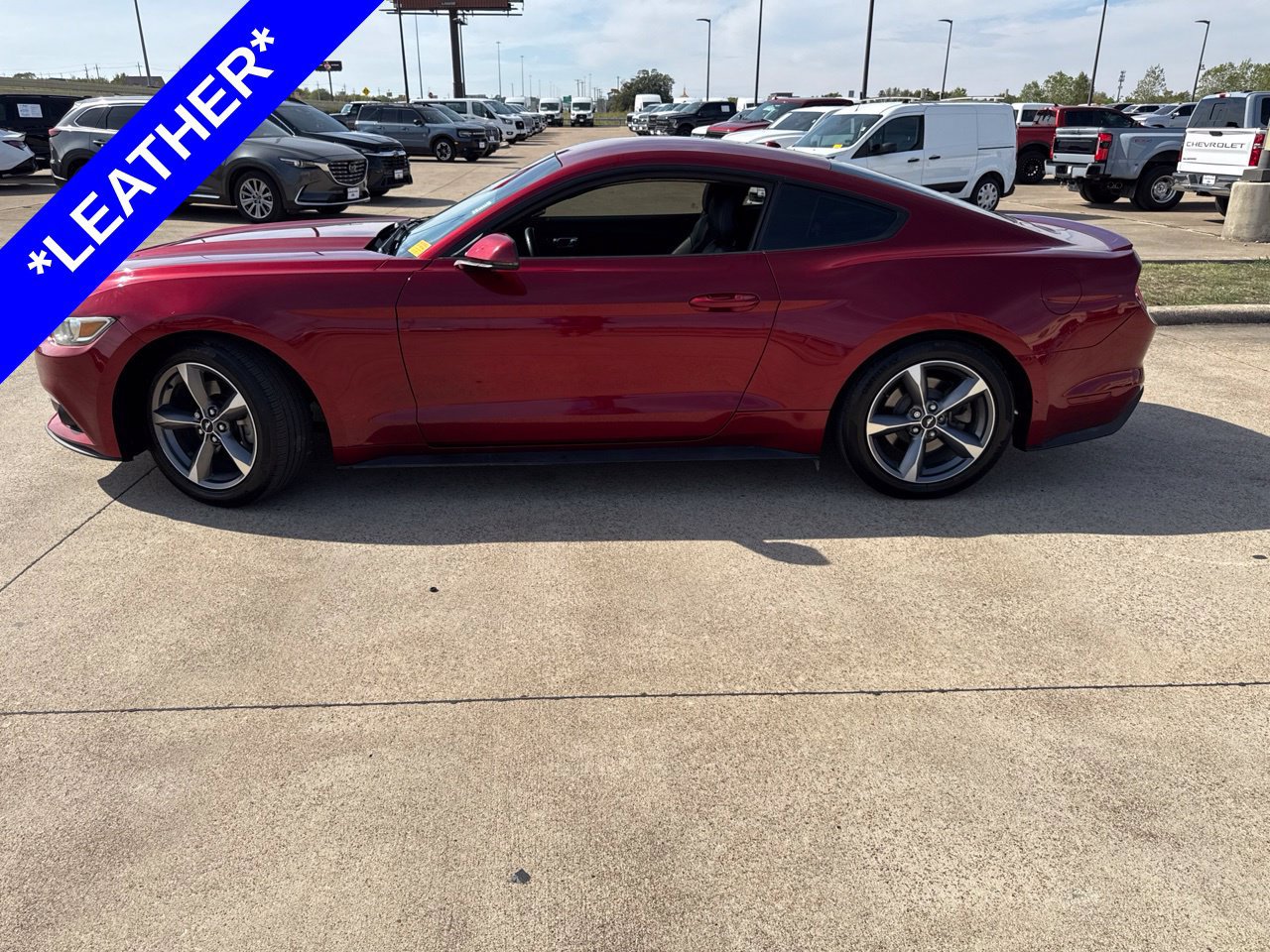 Used 2016 Ford Mustang Premium w/ Equipment Group 201A RWD image 3