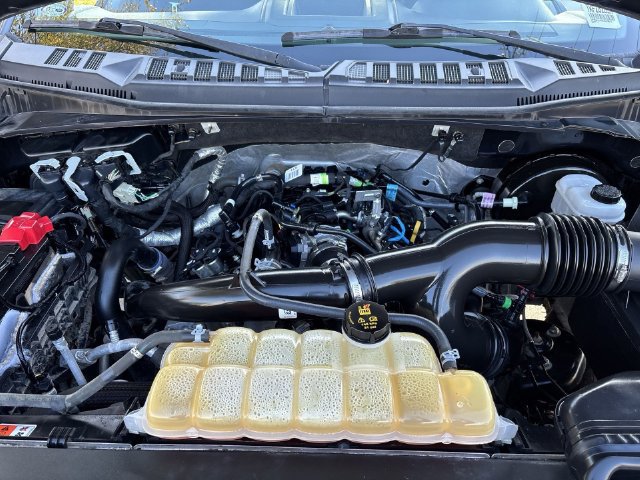 Used 2019 Ford F150 XL w/ Equipment Group 101A Mid RWD image 33