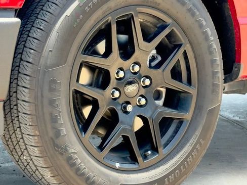 Used 2024 Ford F150 STX w/ STX Black Appearance Package RWD image 12