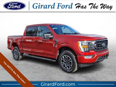 Certified 2023 Ford F150 XLT w/ Equipment Group 302A High