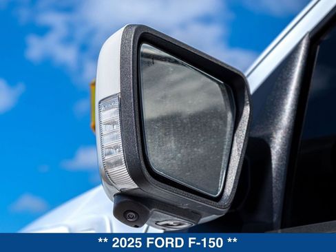 Used 2025 Ford F150 Raptor AWD/4WD image 16