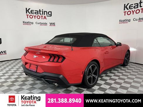 Used 2025 Ford Mustang Premium RWD image 5