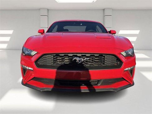 Used 2019 Ford Mustang Coupe w/ Equipment Group 101A image 8