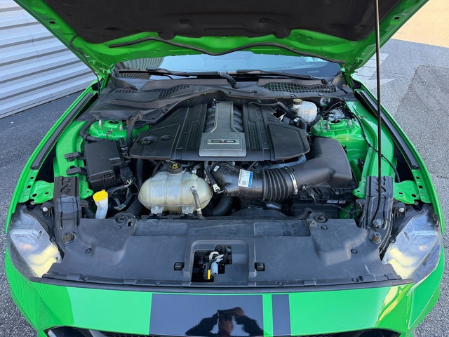 Used 2019 Ford Mustang GT RWD image 14