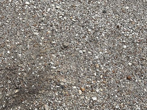 New 2024 RAM ProMaster 2500 w/ Convenience Group image 21