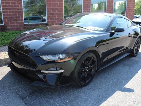 Used 2019 Ford Mustang Coupe w/ Equipment Group 101A RWD image 2
