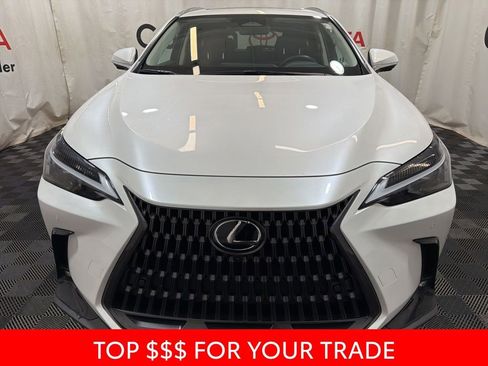 Used 2025 Lexus NX 350h AWD w/ Cold Area Package image 2
