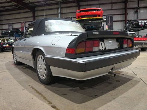 Used 1987 Alfa Romeo Spider Quadrifoglio RWD image 4