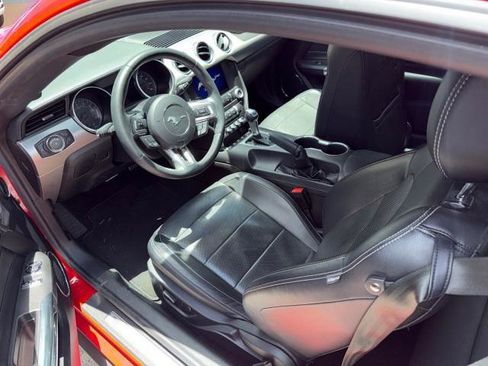 Used 2019 Ford Mustang Premium w/ Ford Safe & Smart Package RWD image 3