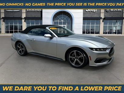 Used 2024 Ford Mustang Premium