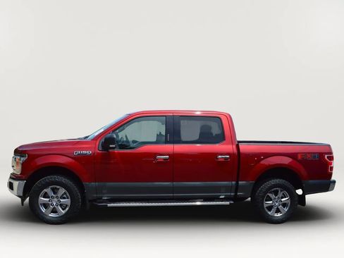 Used 2019 Ford F150 XLT w/ Equipment Group 302A Luxury AWD/4WD image 5