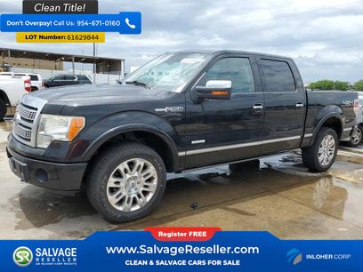 Used 2011 Ford F150 Platinum