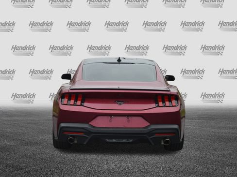 Used 2025 Ford Mustang Coupe w/ Mustang Nite Pony Package image 10