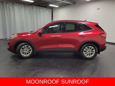 Used 2020 Ford Escape SE FWD image 6