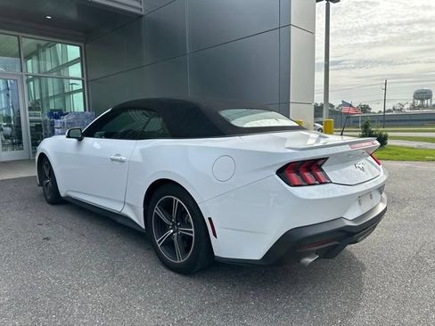 Used 2024 Ford Mustang Premium RWD image 5