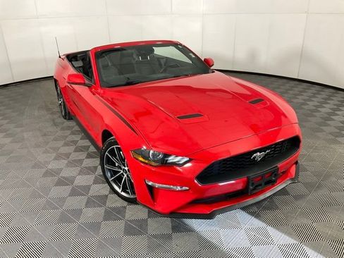 Used 2019 Ford Mustang Premium w/ Equipment Group 201A image 38