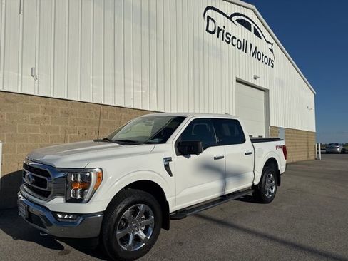 Used 2021 Ford F150 XLT w/ Equipment Group 302A High AWD/4WD image 2