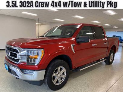 Used 2023 Ford F150 XLT w/ Equipment Group 302A High