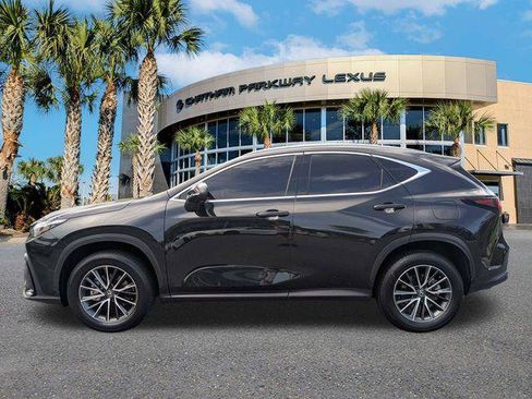 Certified 2025 Lexus NX 350h AWD w/ Cold Area Package image 12