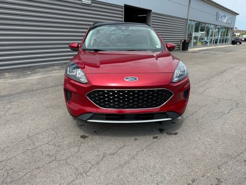 Used 2020 Ford Escape SE image 3