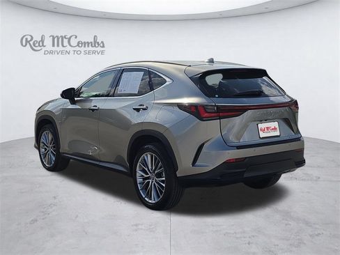 Used 2025 Lexus NX 350 AWD w/ Cold Area Package image 4