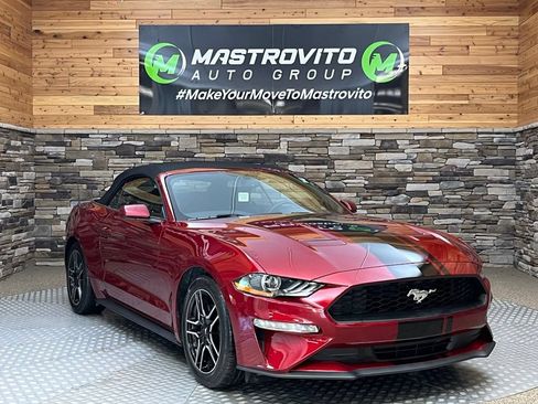 Used 2019 Ford Mustang Convertible w/ Equipment Group 101A RWD image 4