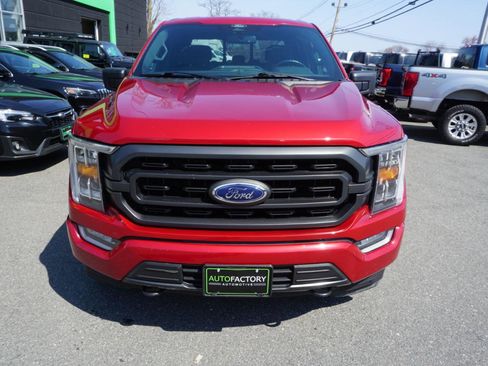 Used 2021 Ford F150 XLT w/ Equipment Group 302A High image 2