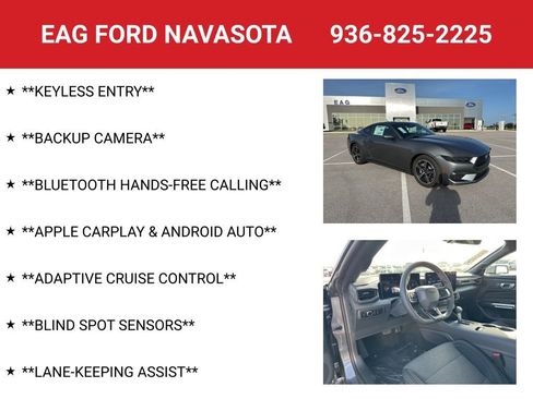 New 2025 Ford Mustang Coupe image 4