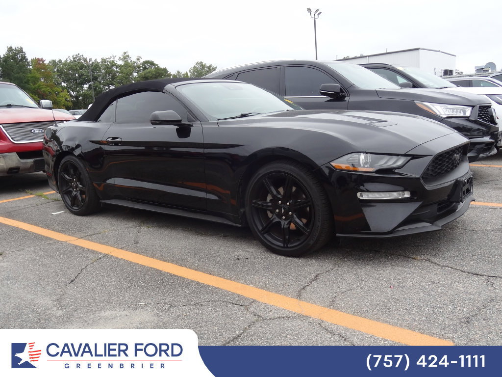 Used 2019 Ford Mustang Premium w/ Equipment Group 201A RWD image 2