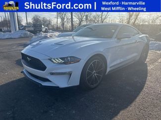 Used 2021 Ford Mustang Coupe w/ Equipment Group 101A video 1